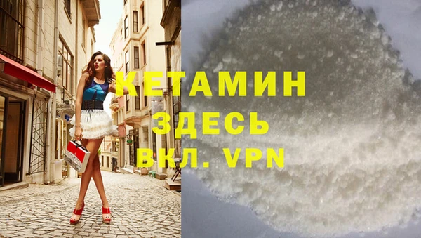 трава Няндома